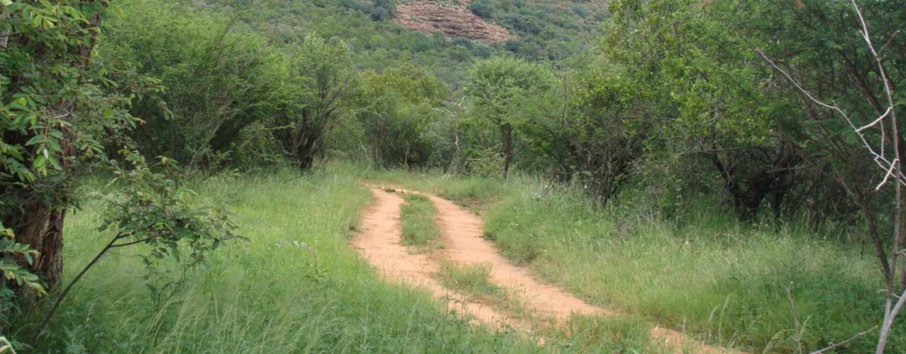 Sabella.co.za - Header Image 0