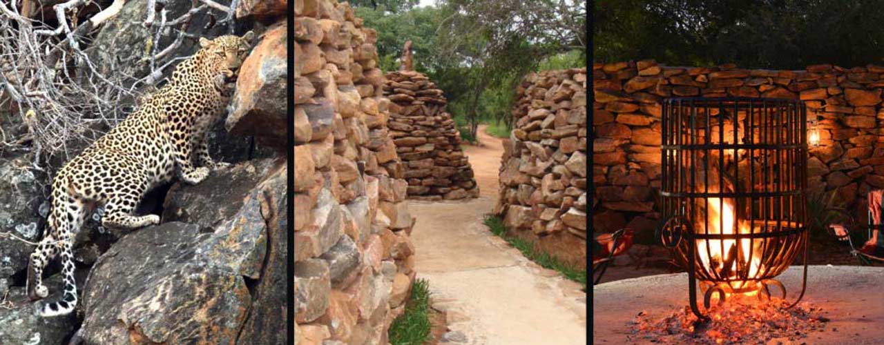 Sabella.co.za - Header Image 3