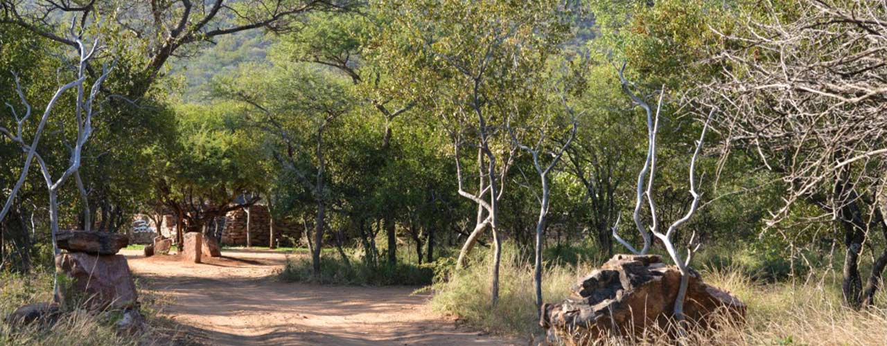 Sabella.co.za - Header Image 0